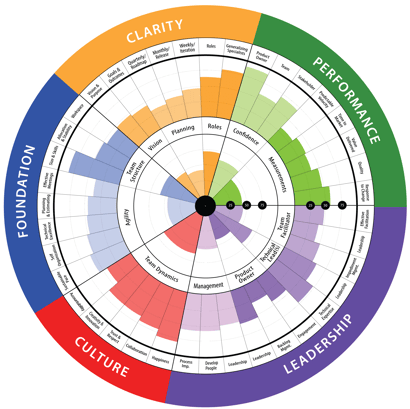 TeamHealth Radar (2)